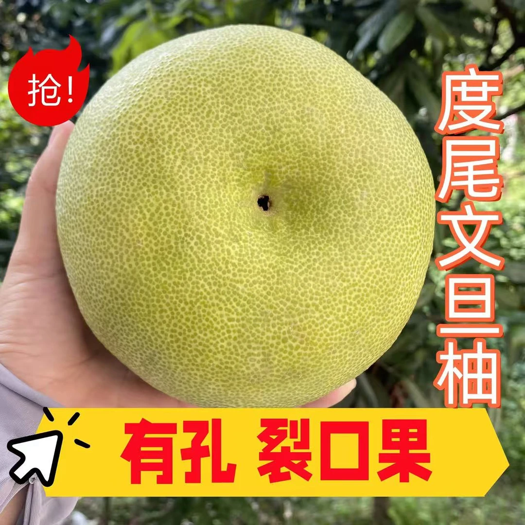 【优质裂果】洞洞柚~度尾文旦柚红心白心新鲜应季多汁水果