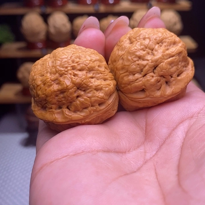 木质类云铁帝王蟾41号37尺