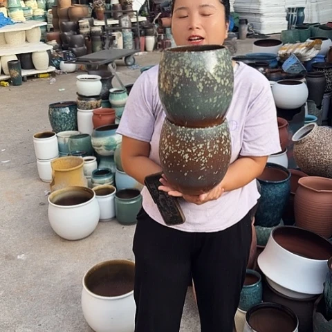 口16高20瑕疵两个盆。