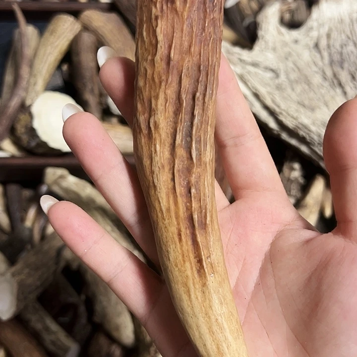 虫***虫香榧木木雕款鹿角