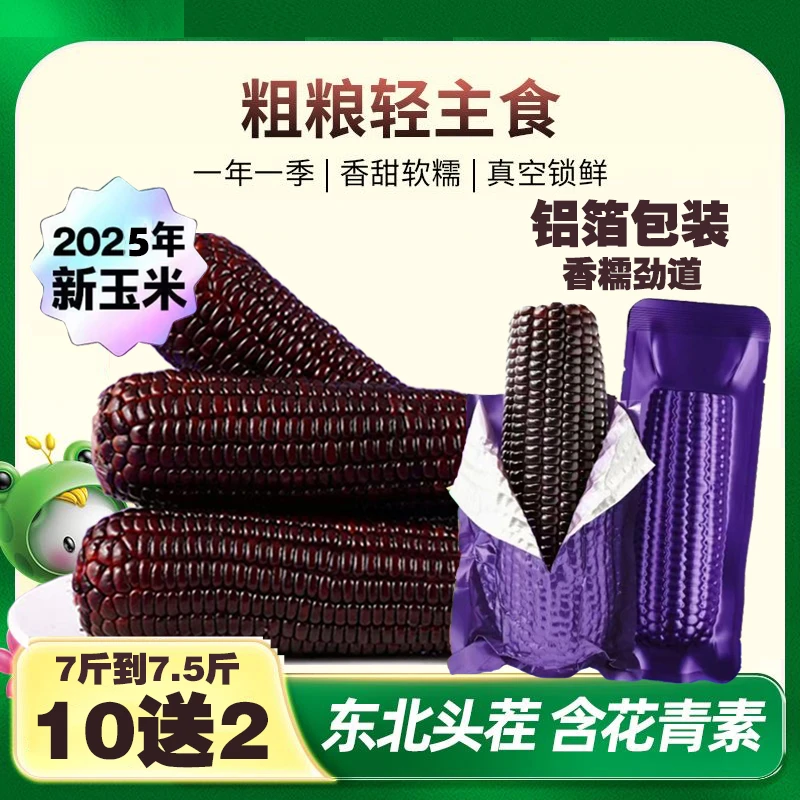 （试吃两根）东北鲜采铝箔黑糯玉米12支 单只280-350g（整箱7-7.5斤）