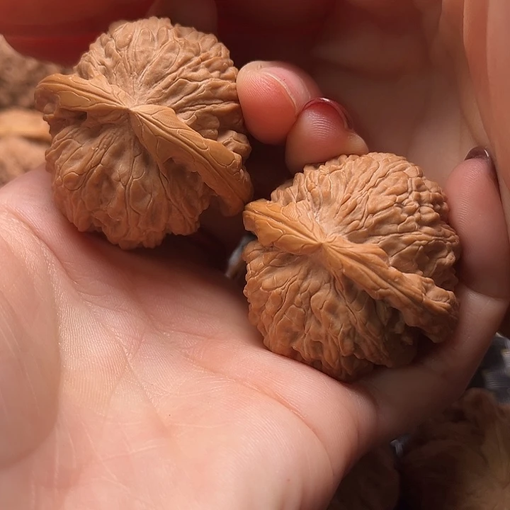 文玩核桃把件42白狮子