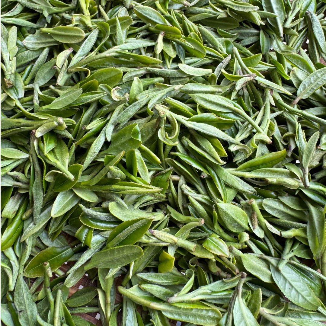 【2025新茶】高山茶 金寨黄芽 清香持久 滋味鲜醇浓厚回甘