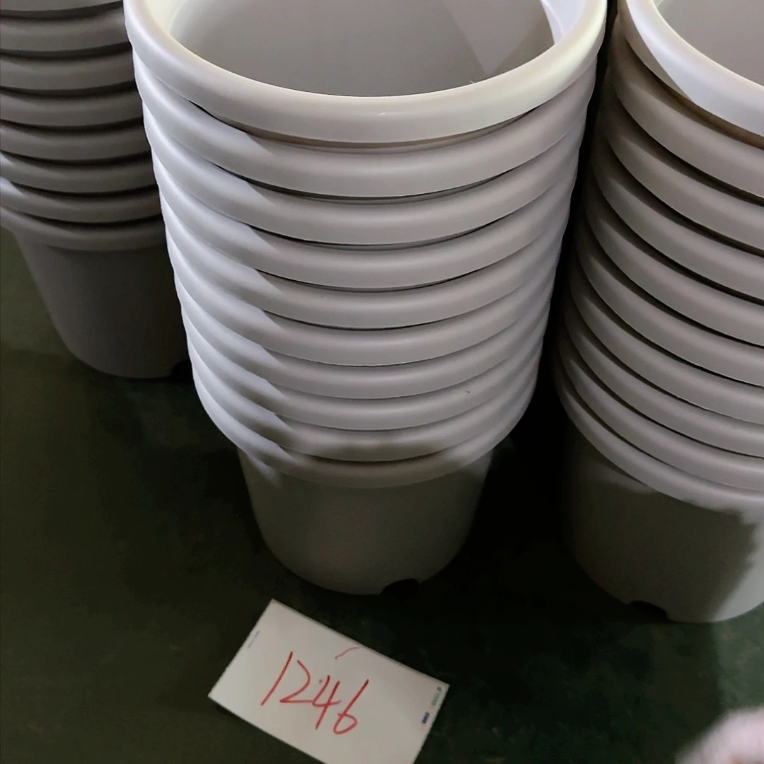 树脂编号。    1246