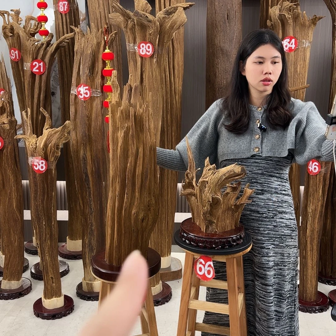 大***海沉香沉香碎屑天然沉香