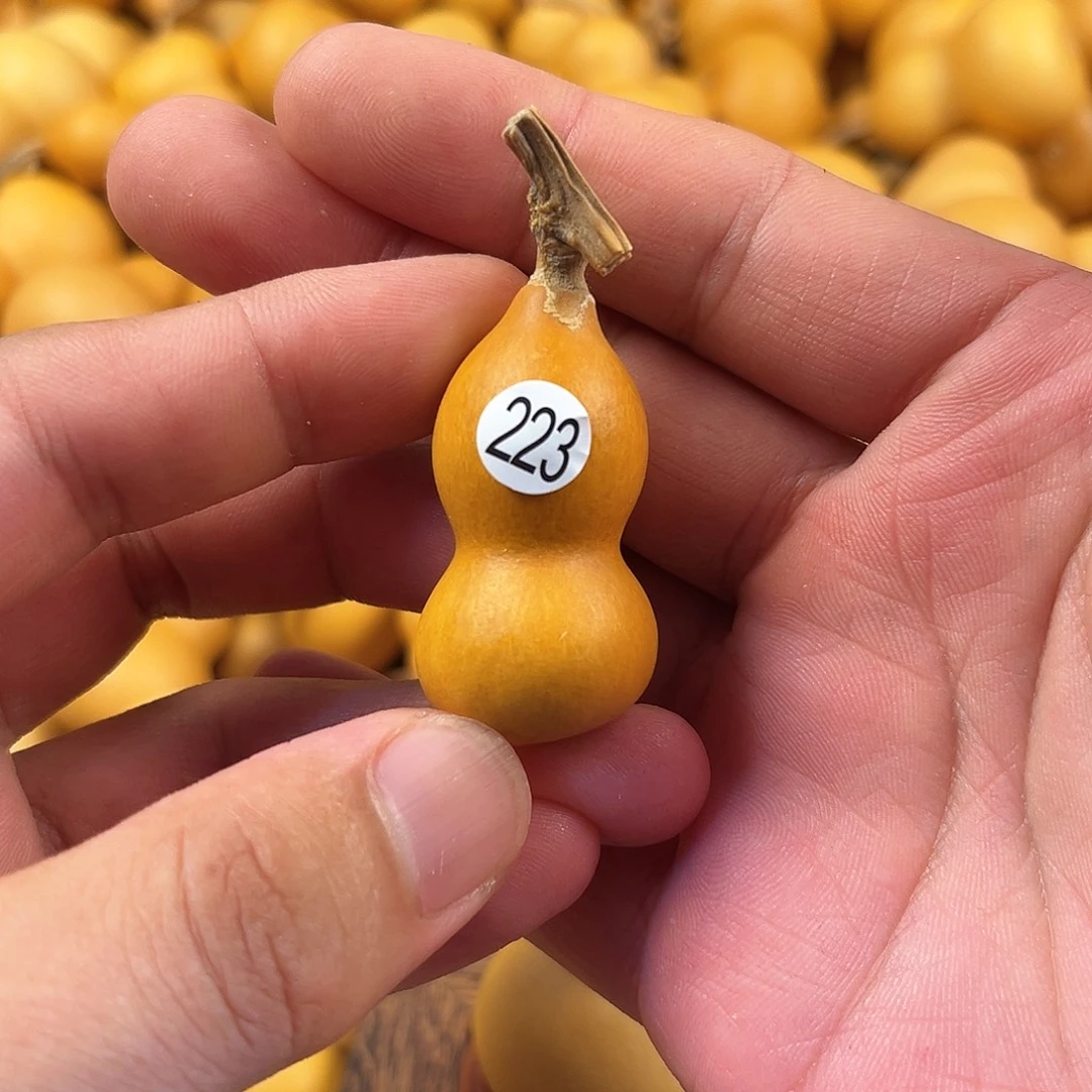 五葫芦葫芦葫芦葫芦223