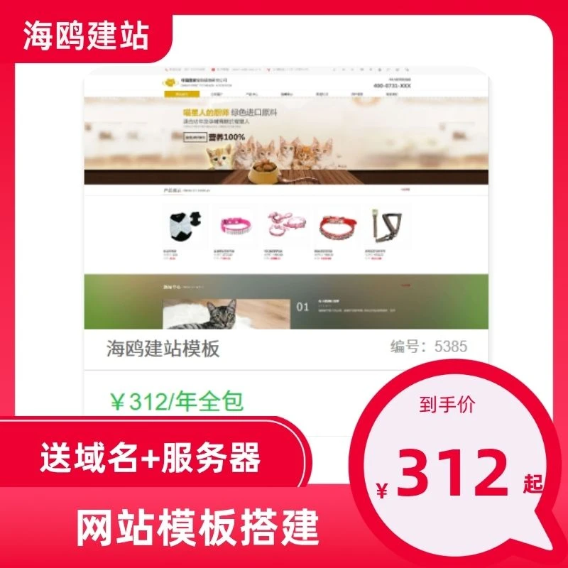 官网小程序商城外贸站搭建 独立后台 + 域名服务器