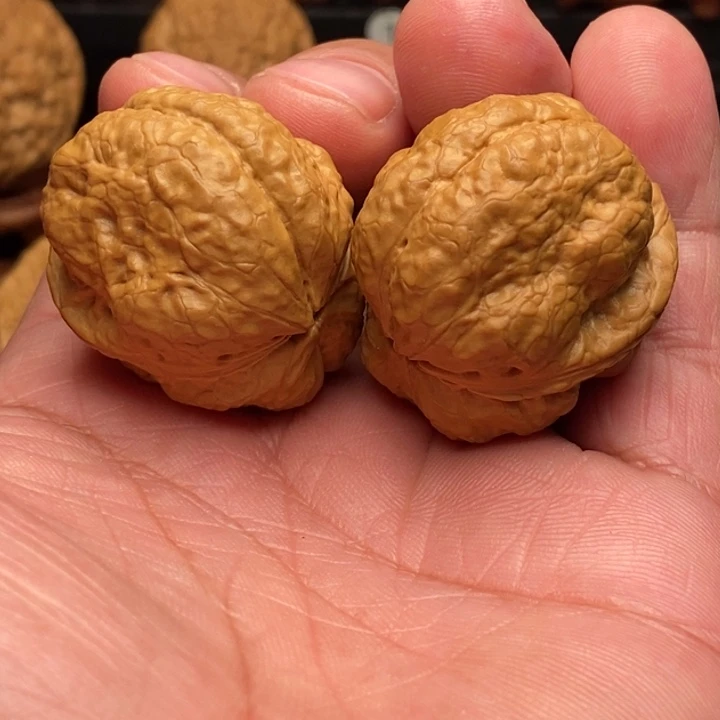 文玩核桃把件39尺山羊龙脊