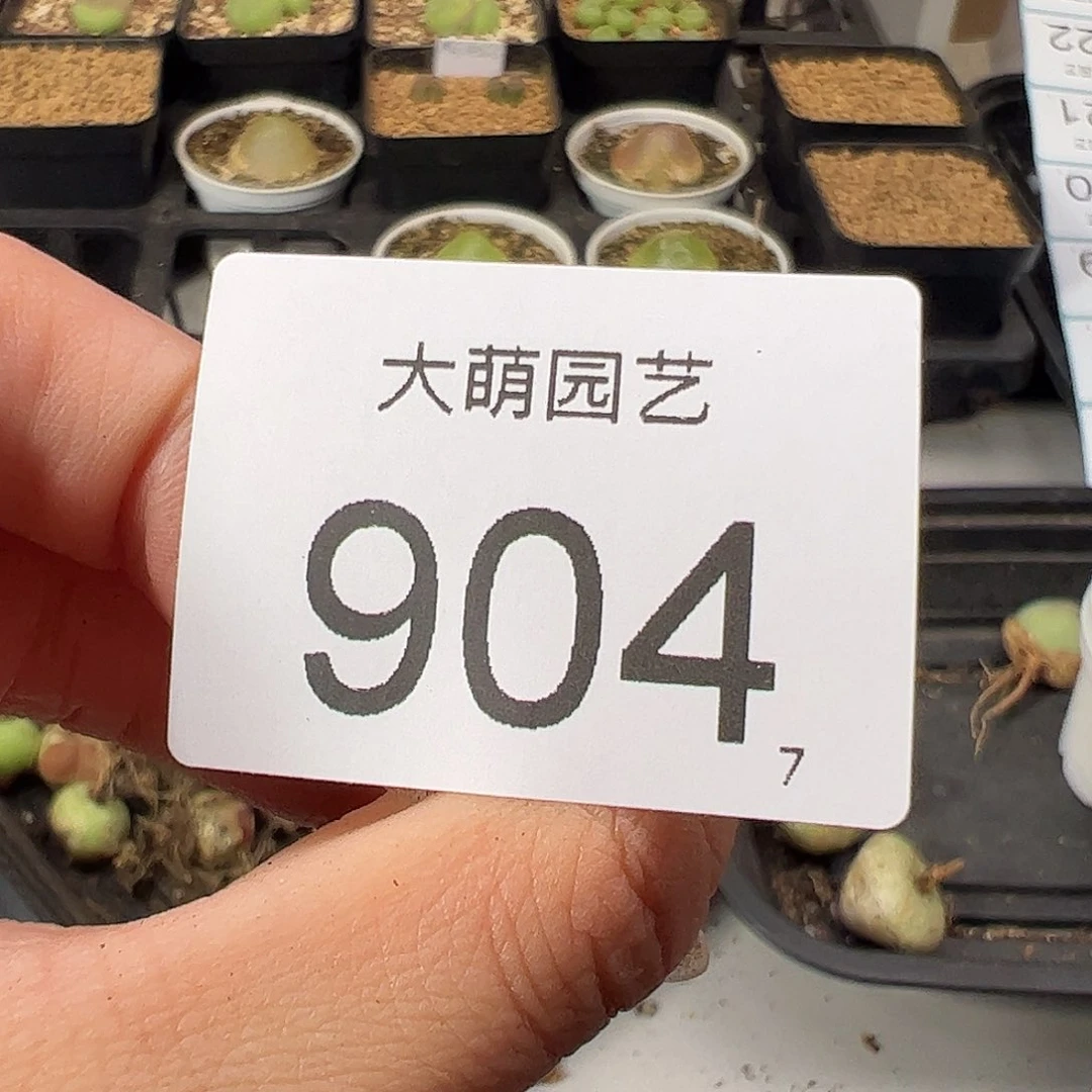 0000904量拍土一包