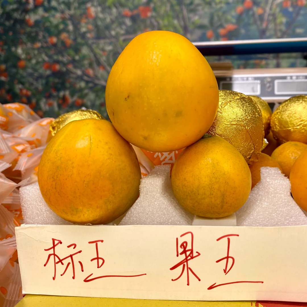 脆密金柑大标王特大超大巨大