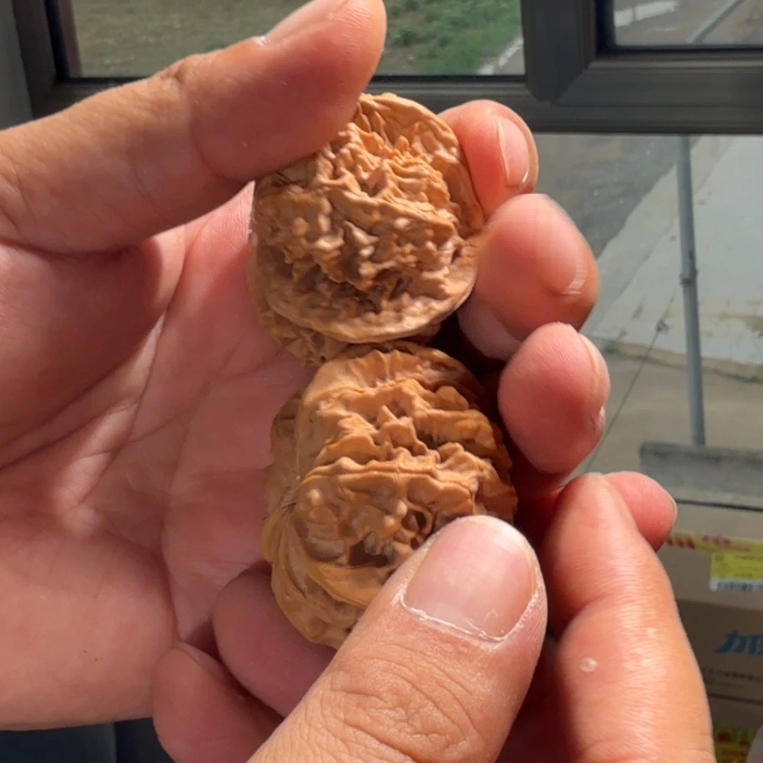 文玩核桃把件三棱8号44mm帝王三棱