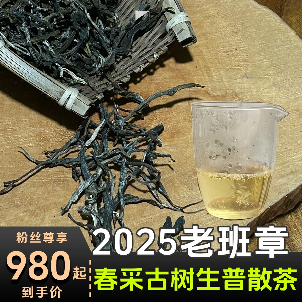 2025老班章散茶古树普洱茶生茶茶叶小师姐评茶