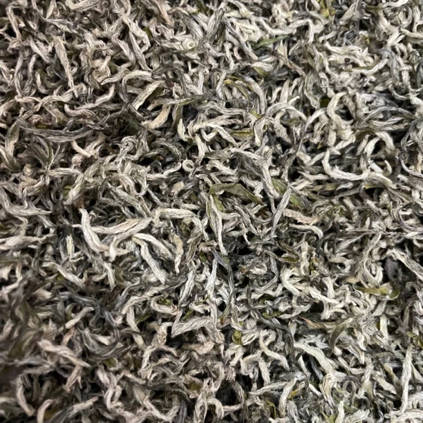 栗香春茶单芽甘露 2025高山新茶 回甘好