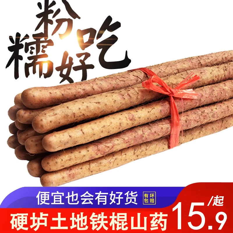 新鲜山药正宗铁棍山药新鲜采挖粉糯香甜营养丰富可蒸煮煲汤