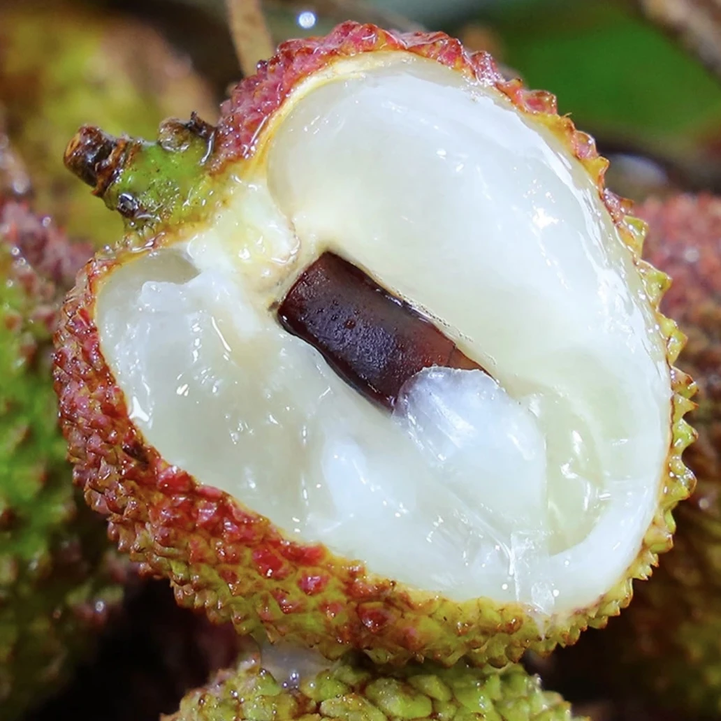 【顺丰次日达】海南妃子笑荔枝  3斤/5斤 香甜鲜荔枝新鲜水果荔枝海南省