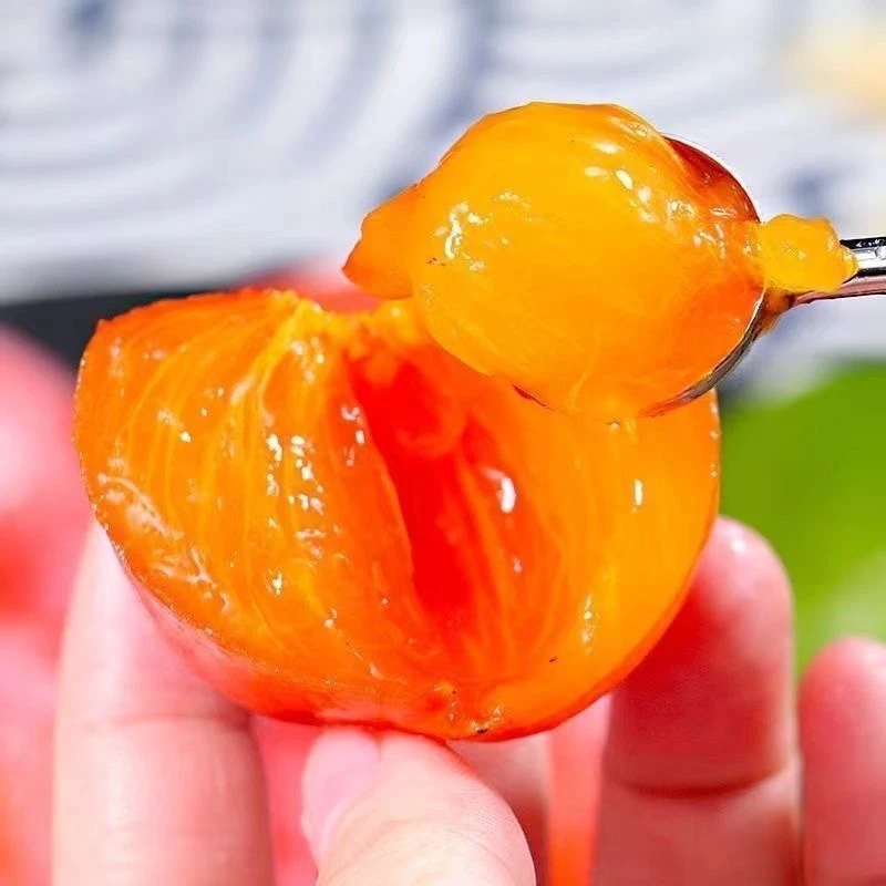 正宗农家土柿子软嫩流蜜爆甜柿子整箱发一口流蜜超好吃时令软柿子