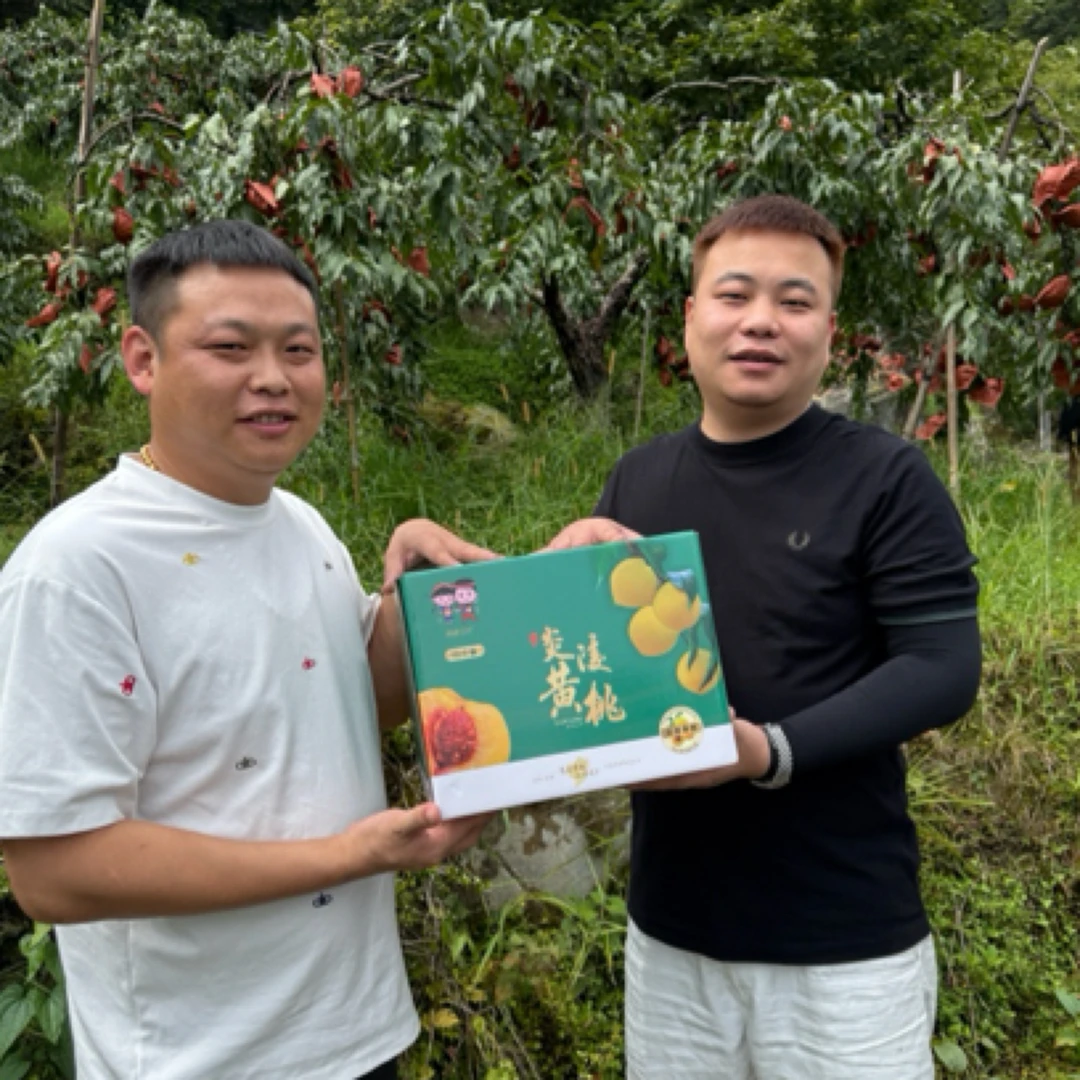 【刚所昂厅严选】10斤炎陵黄桃红心爆甜脆爽新鲜高山头果
