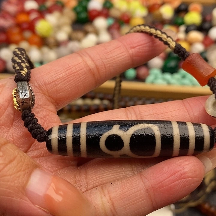 大果紫檀（缅甸花梨）