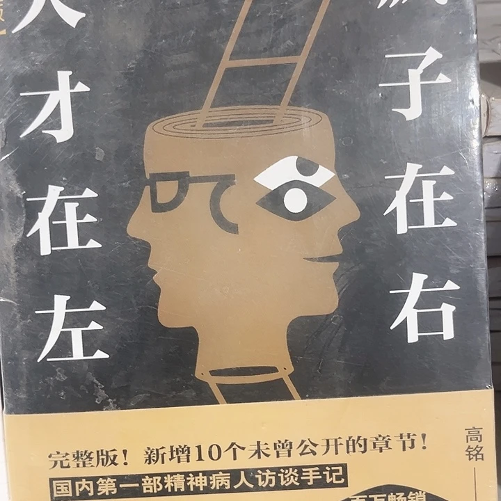 天才在左疯子在右全新