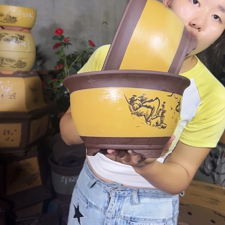 21+21黄色三角金钟花盆