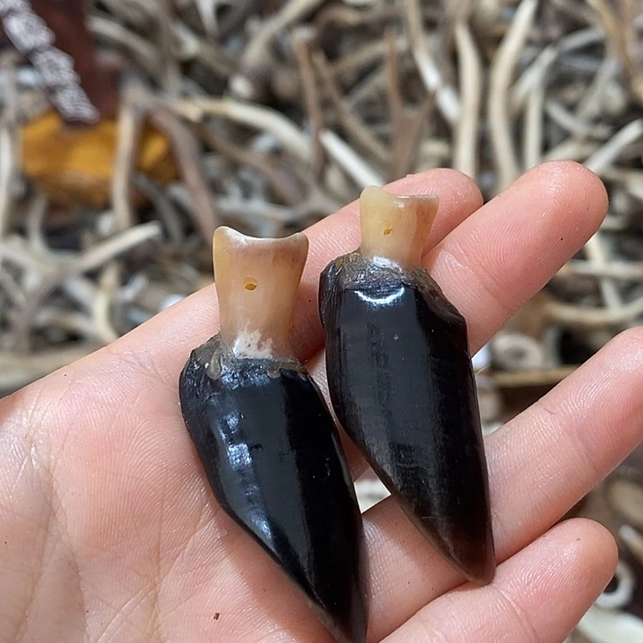 石英石非金属鹿蹄鹿蹄