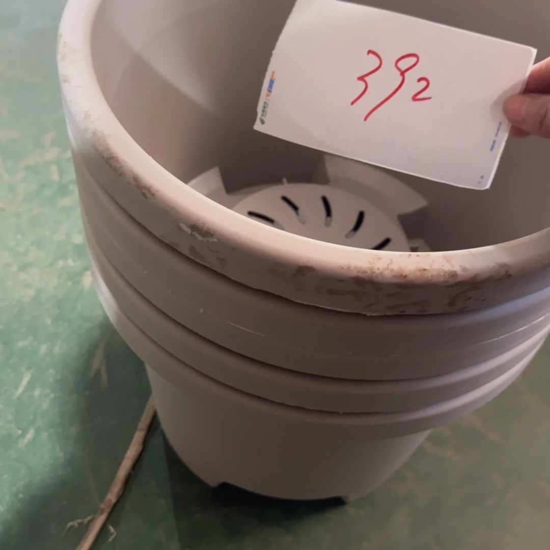 树脂编号392微瑕