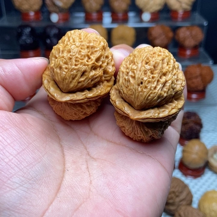 文玩核桃把件食蚁兽15