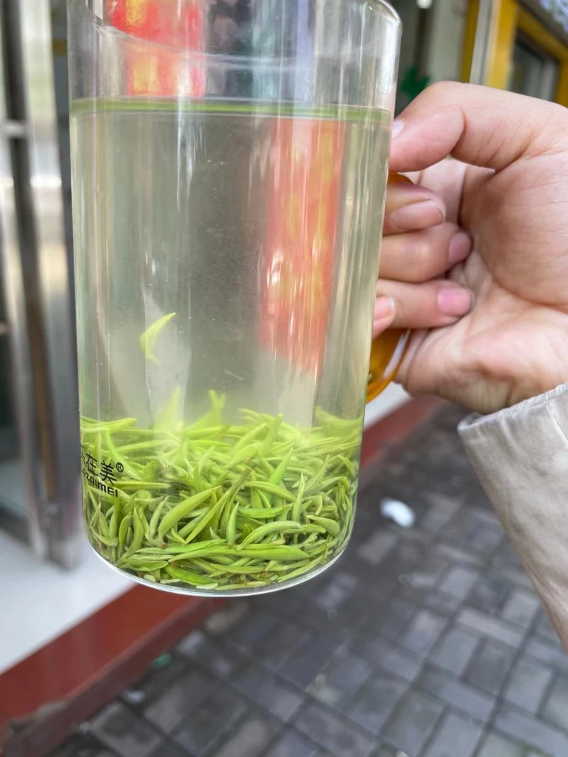 2025年新茶  明前中芽 高山茶绿茶清香正宗