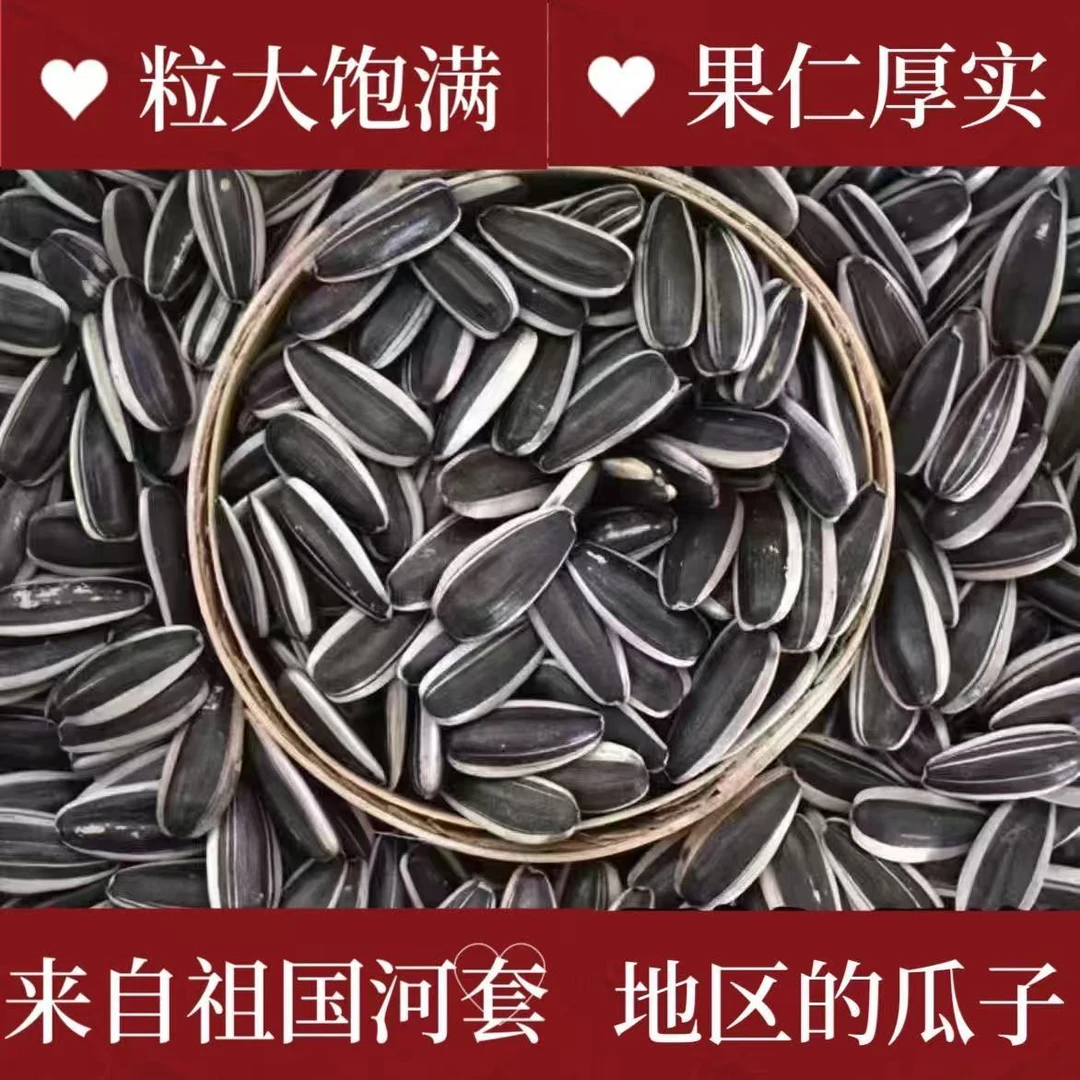 【到手2斤】内蒙新货原味熟葵花籽大颗粒原味瓜子休闲零食