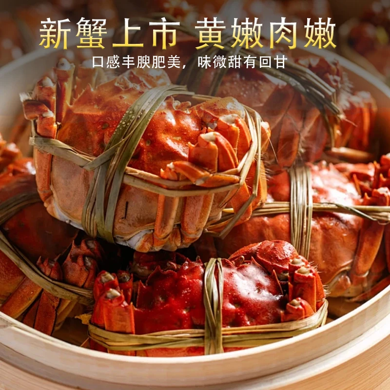 【活蟹】精品大闸蟹 母蟹4.1-3.8两/只 到手10只装冷链发货H