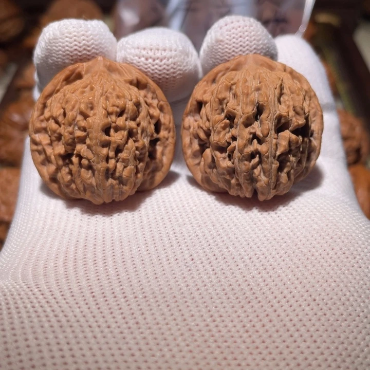 汗高楼真好啦啦啦啦01