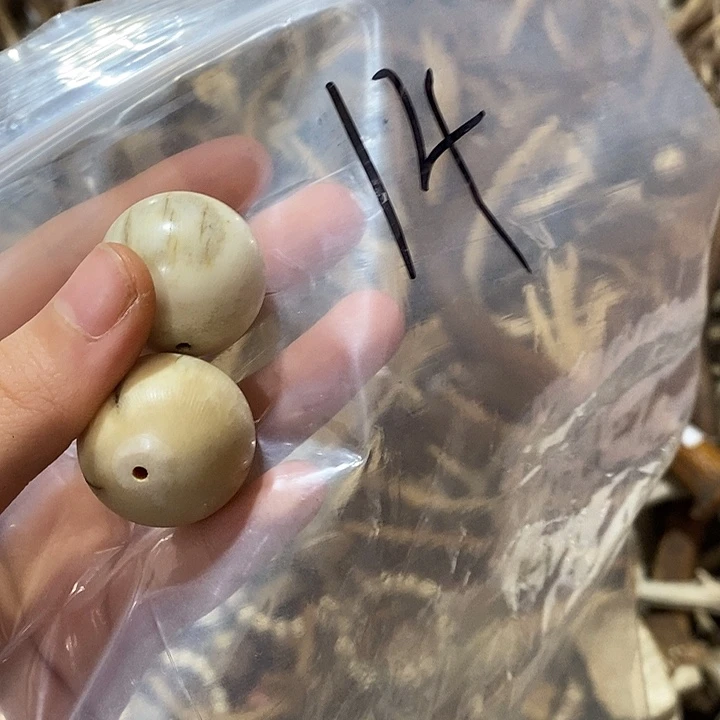 用***7非金属鹿角鹿角鹿角