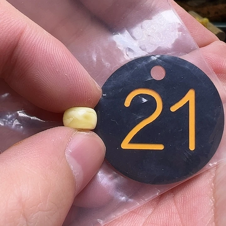 蜜蜡未镶嵌珠宝奇石8.8m m