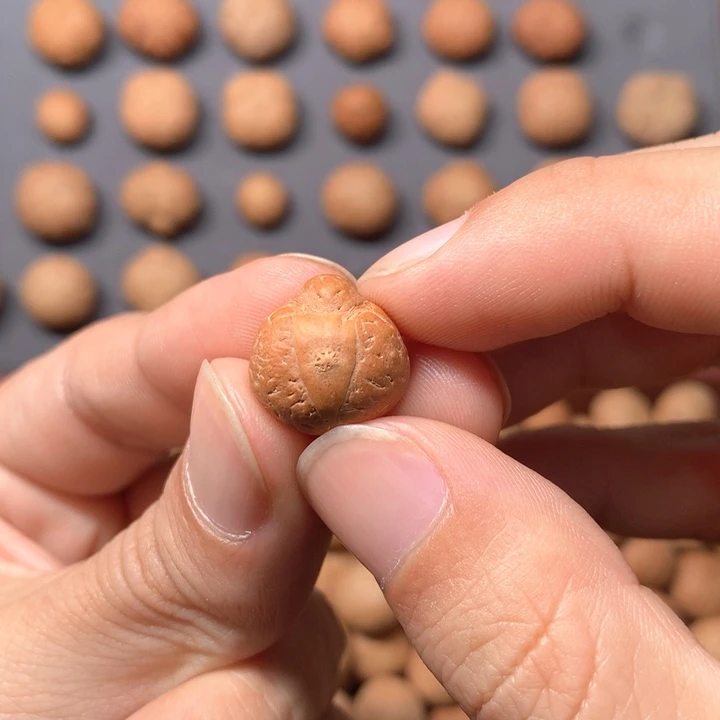 凤眼菩提吊坠15mm尼泊尔小鸟