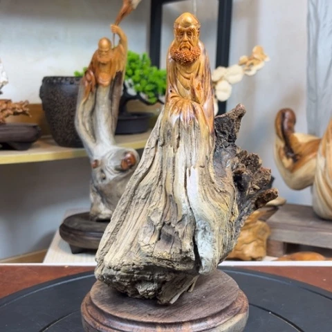 柏木（崖柏） v v v b b b b n