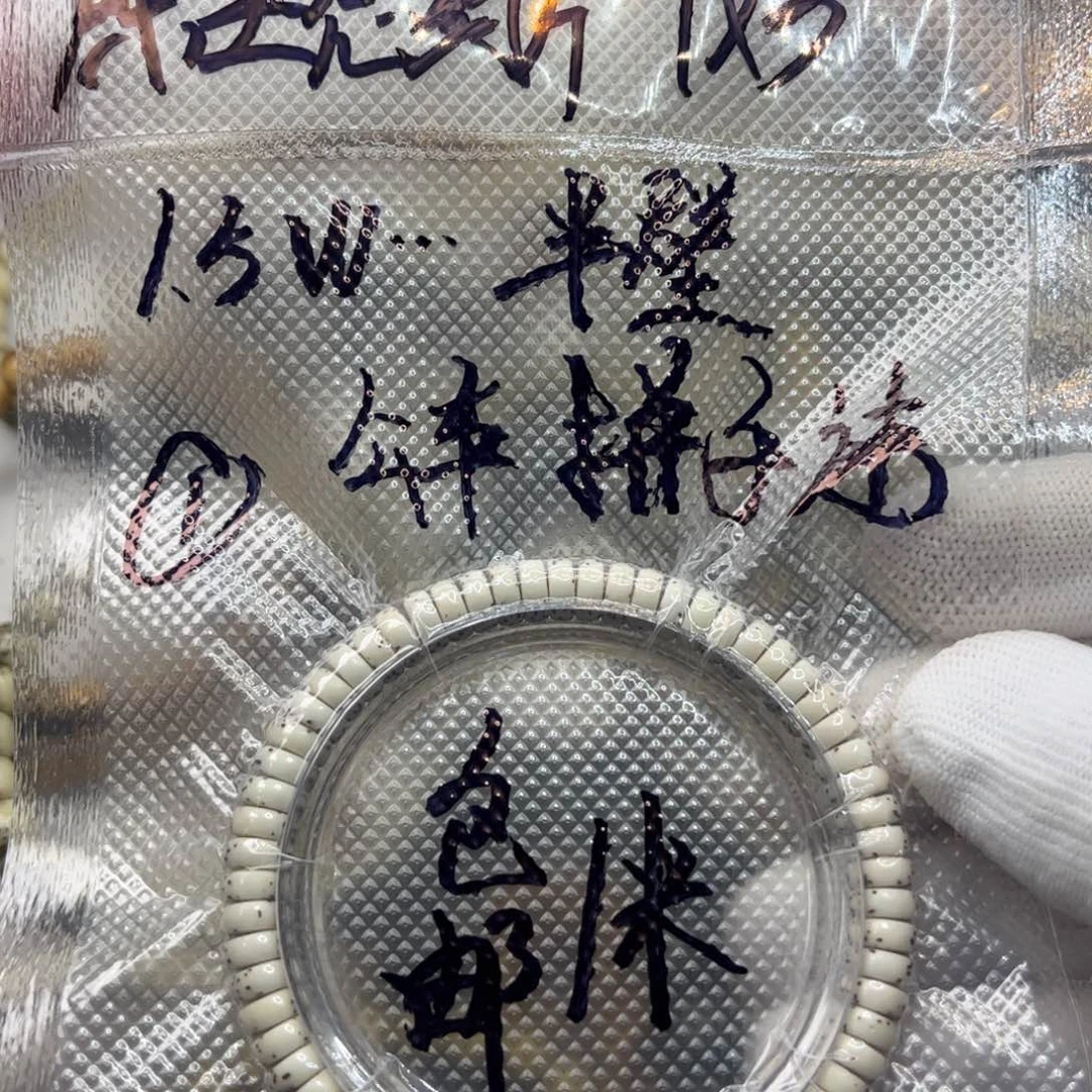 吊坠星月菩提原生态半壁药片