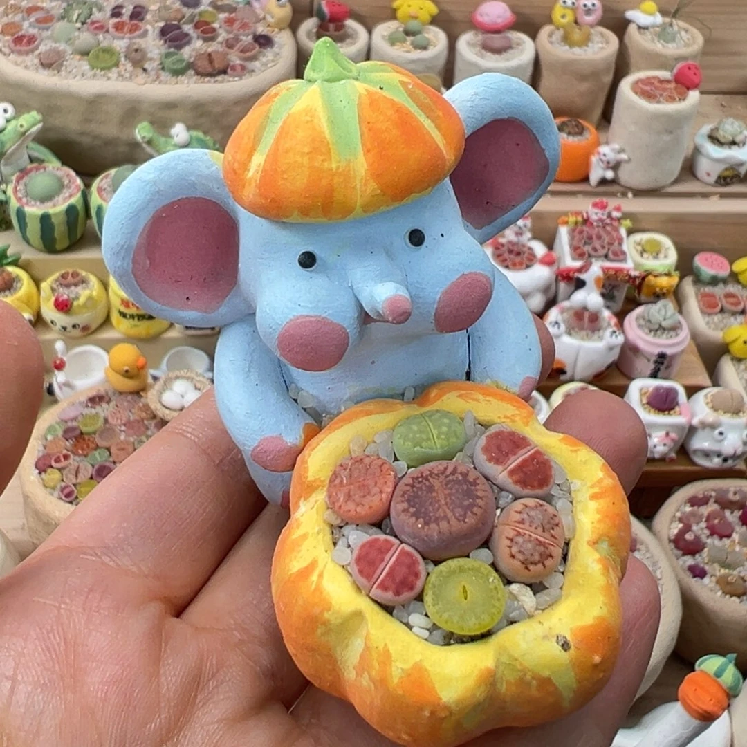 多肉植物123号彩色