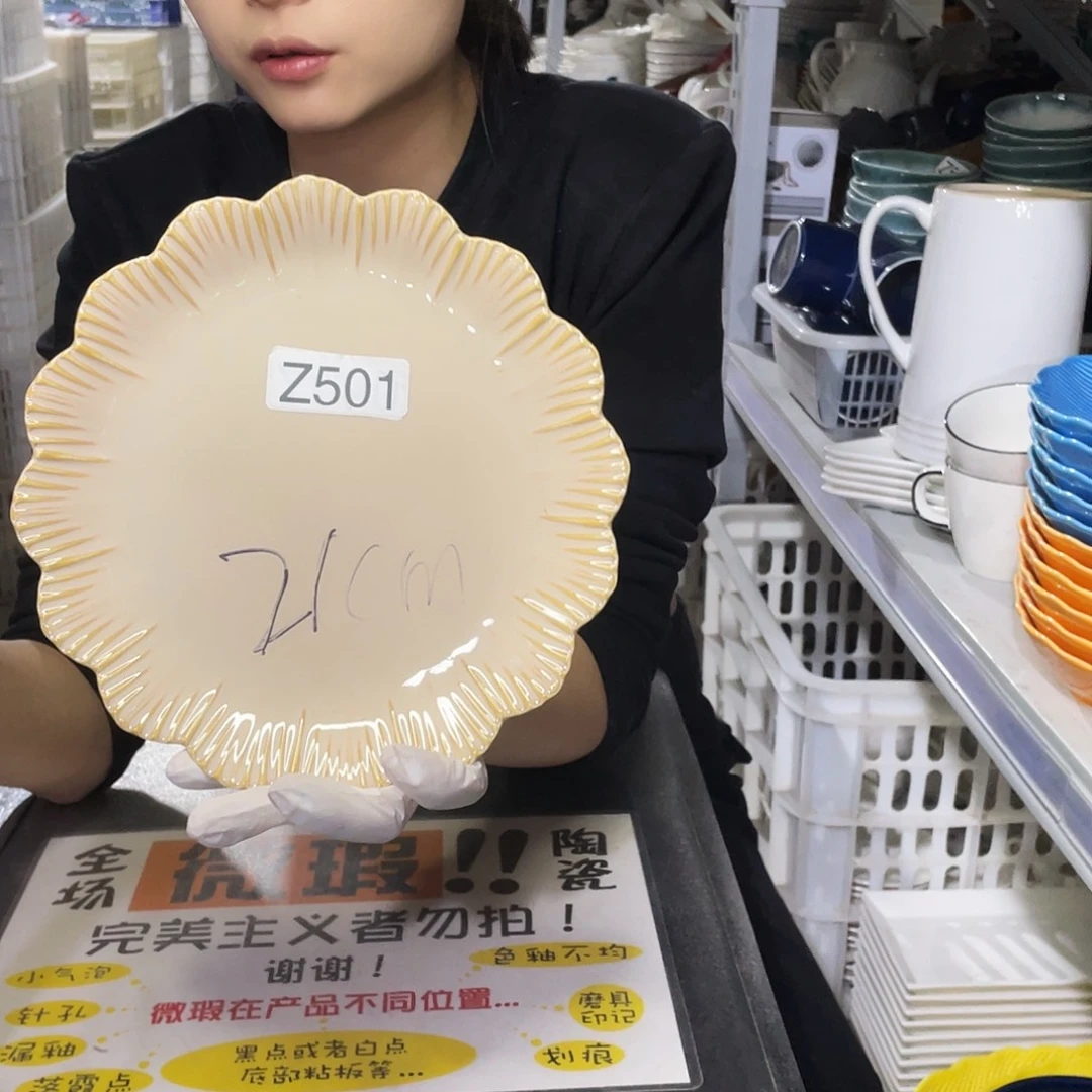 瓷片501                2个