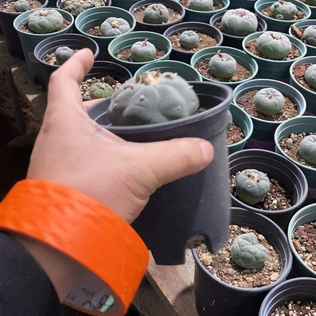 过***风0000000000000000000