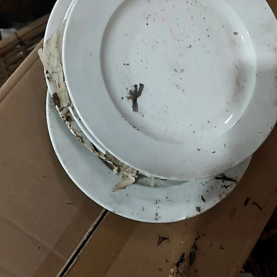 绿泥陶瓷盘子碗啥都有