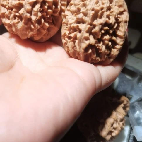 猴头核桃吊坠41招财鼠