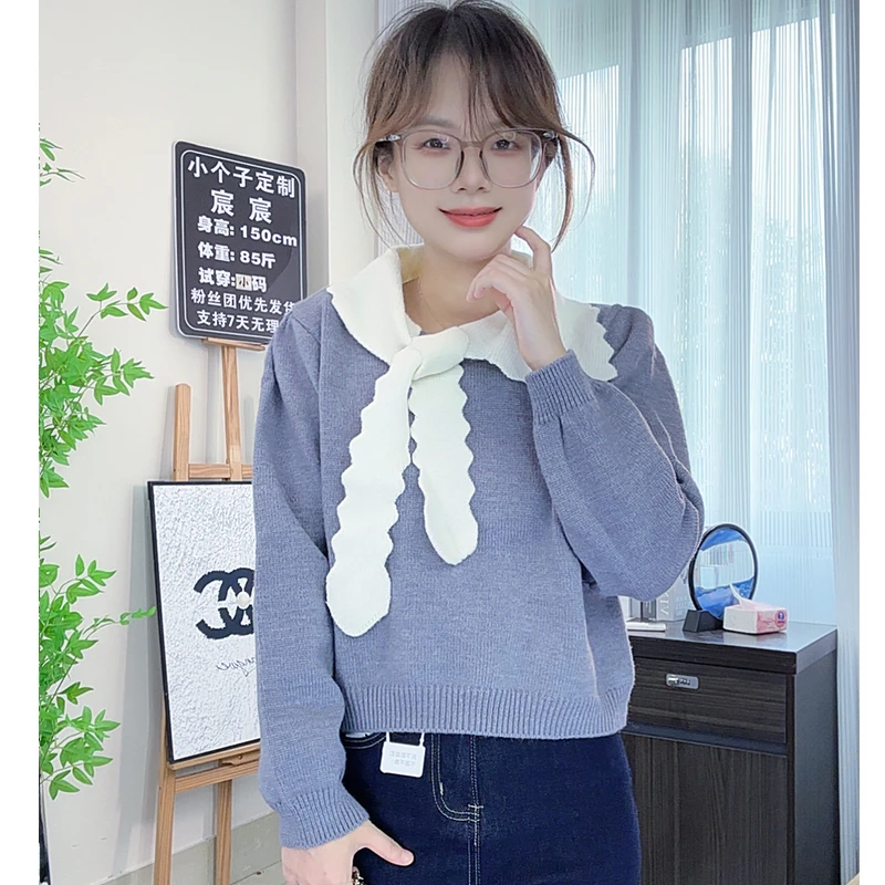 小个子秋季套头毛衣女 长袖不褪色冬季针织春季毛针织衫毛衣秋冬