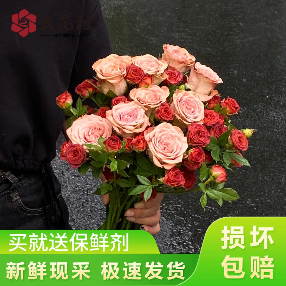 【七夕鲜花】卡布奇诺玫瑰巧克力泡泡【全店任意两件发顺丰京东】云南