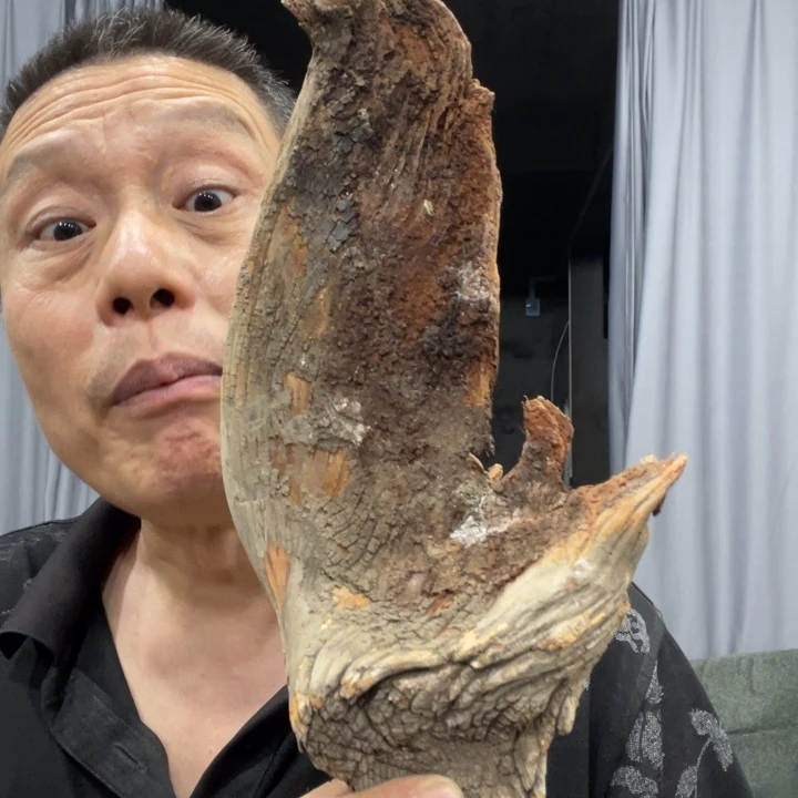 风***杨我们都是好孩子呀