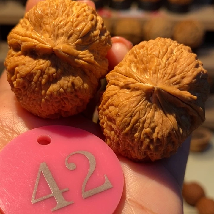 菩提籽类铁绣球39尺寸