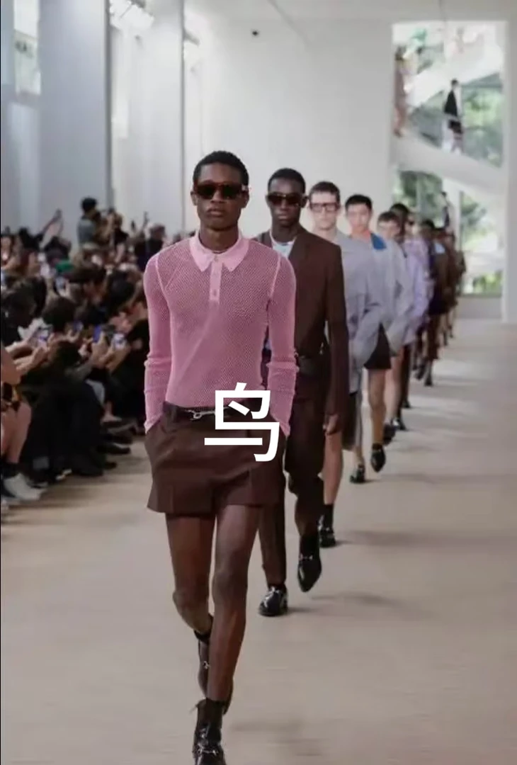 【鸟家】24s简约高级T恤