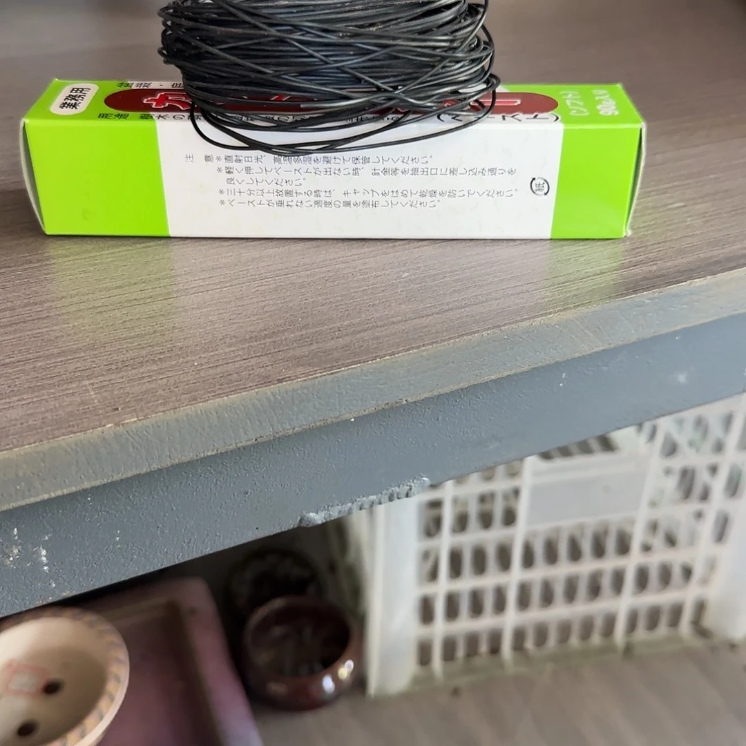 无花朵绿色植物绿色植物