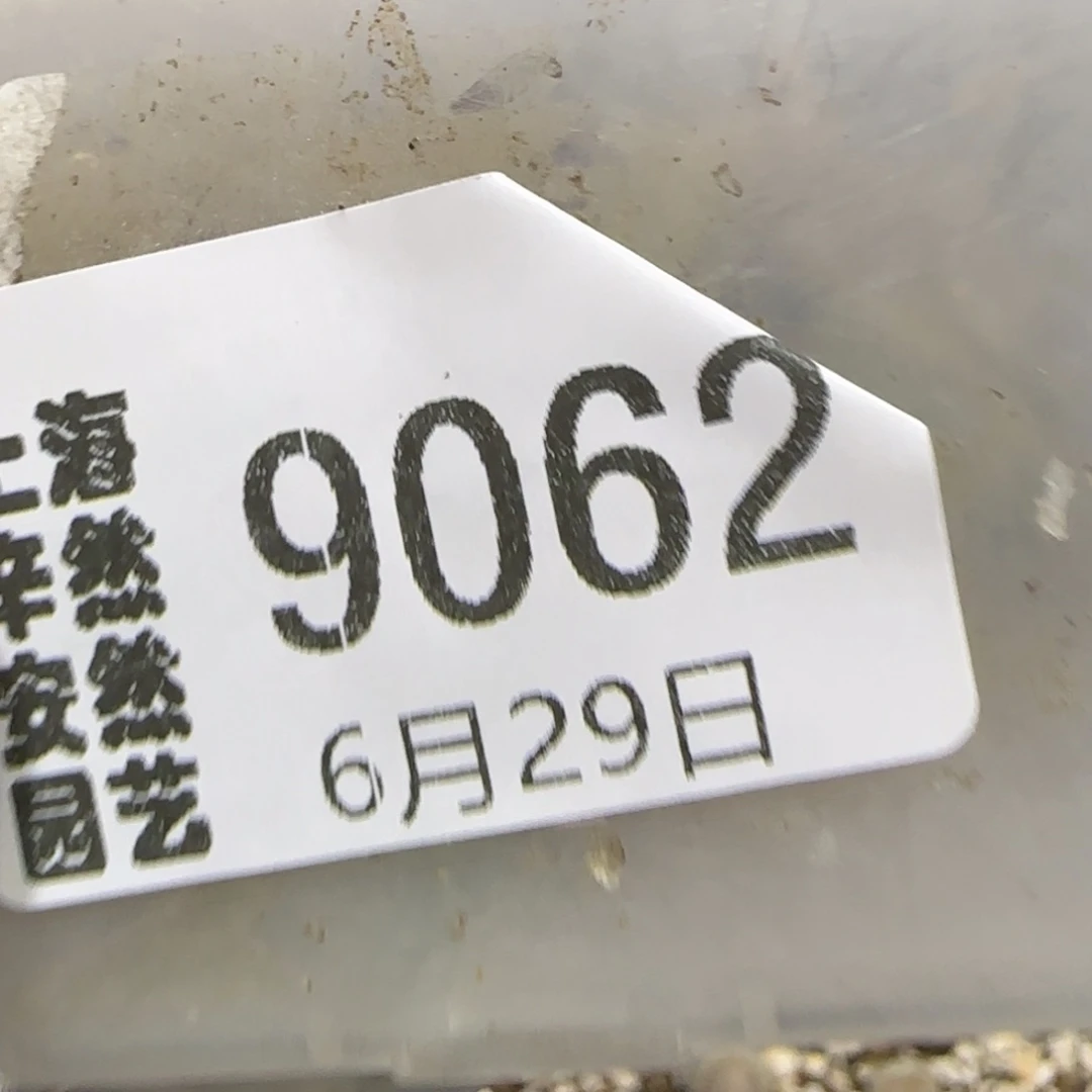 *****6.29。 .6。8。9062有高