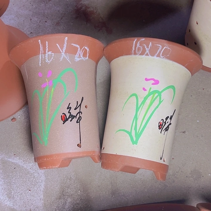 周三周四再说再说啧啧啧啧