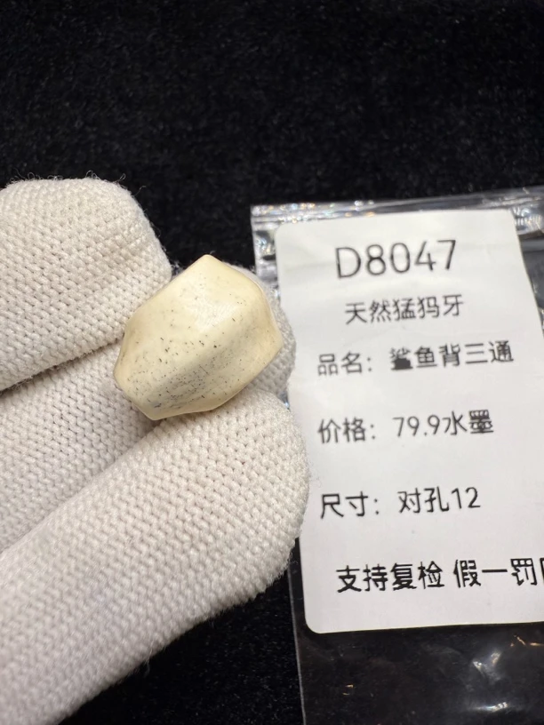 D8047天然猛犸牙鲨鱼背三通微跳色